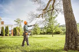 Hebron, PA Tree Care Company